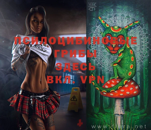 соль ск Алексеевка