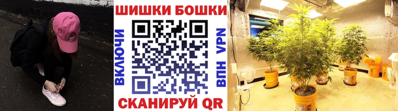 где продают   Красновишерск  Шишки марихуана MAZAR 